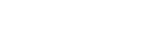 discofox-world logo